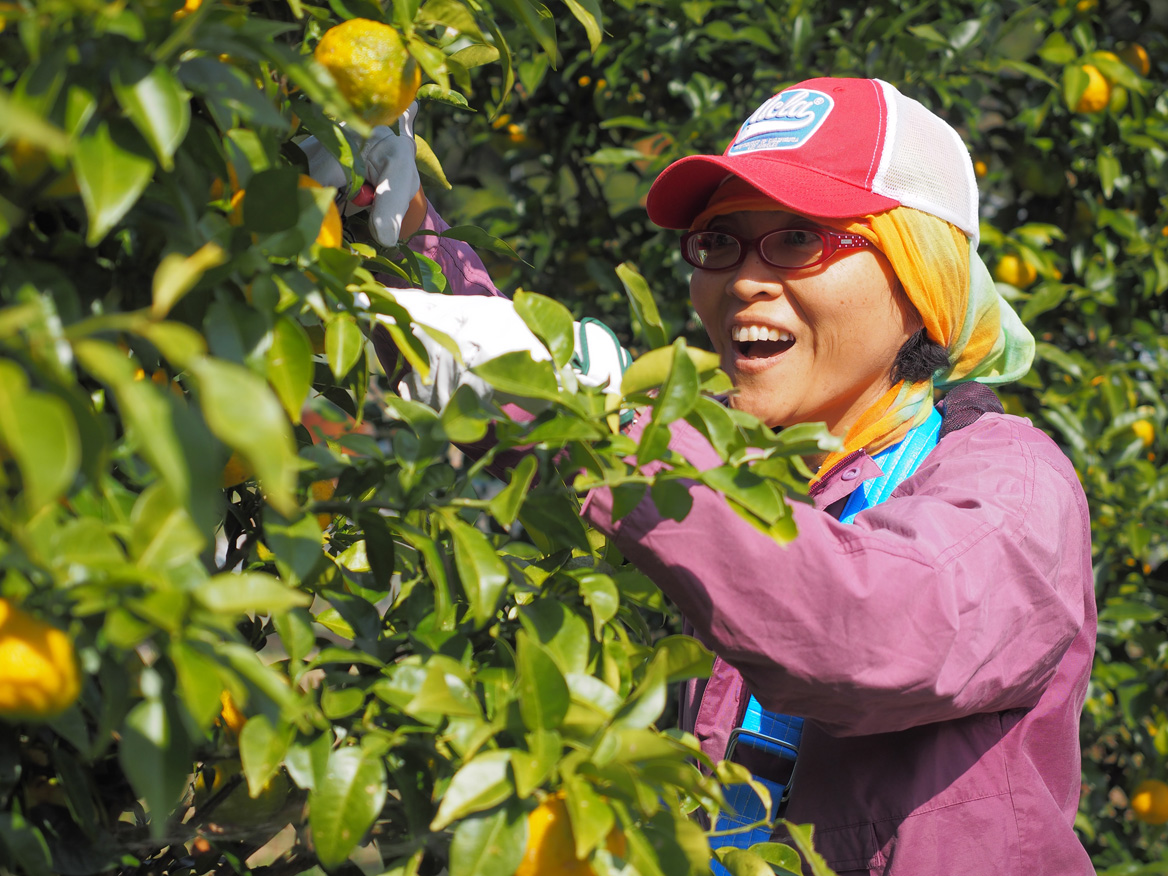 木頭ゆずフェス ぬくいぜんか